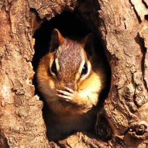 Meet your Posher, Julie